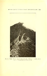 n684_w1150