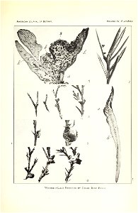 n300_w1150