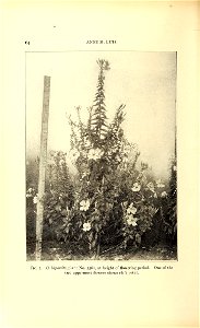n87_w1150