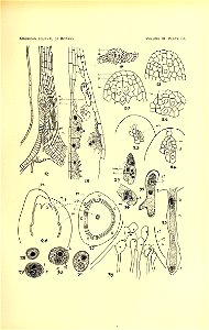 n166_w1150