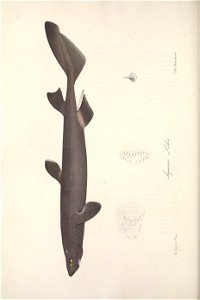 n593_w1150
