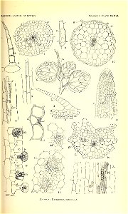 n454_w1150