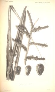 n114_w1150