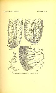 n108_w1150