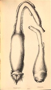 n144_w1150