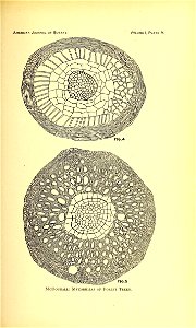 n106_w1150