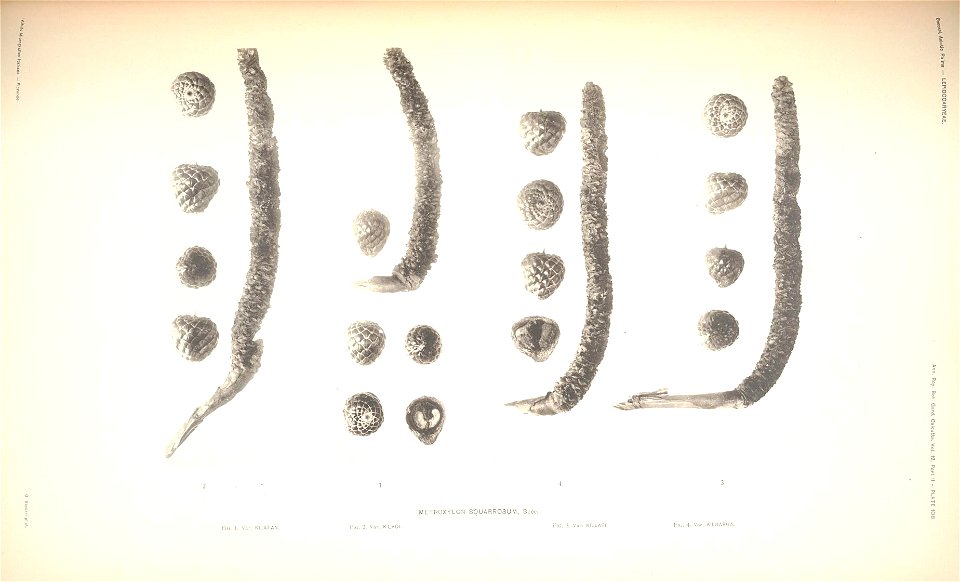 n113_w1150