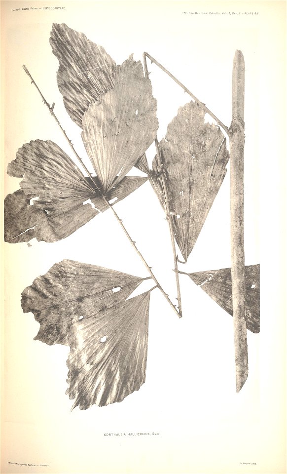 n98_w1150