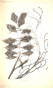 n83_w1150