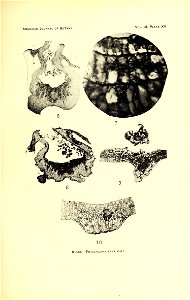 n402_w1150