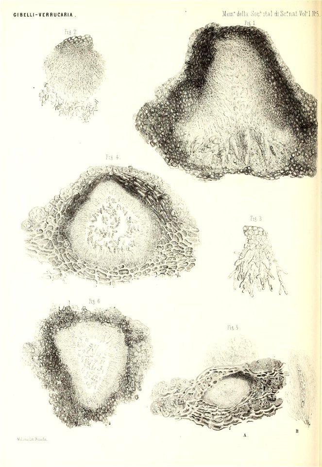 n207_w1150