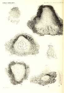 n207_w1150