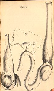 n142_w1150