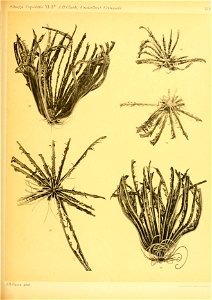 n392_w1150