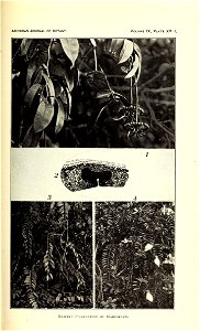 n468_w1150