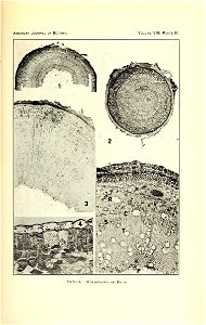 n222_w1150