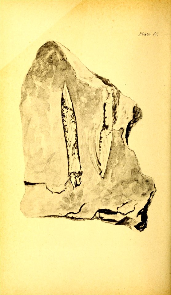 n221_w1150