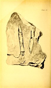 n221_w1150