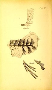 n163_w1150
