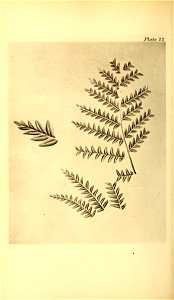 n103_w1150