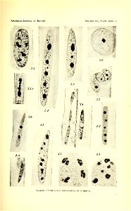 n540_w1150