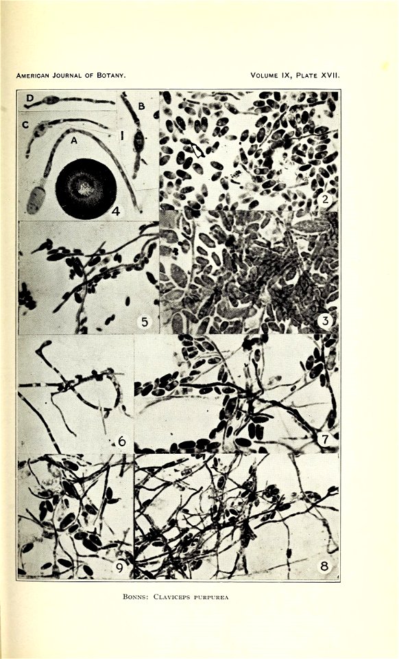n424_w1150