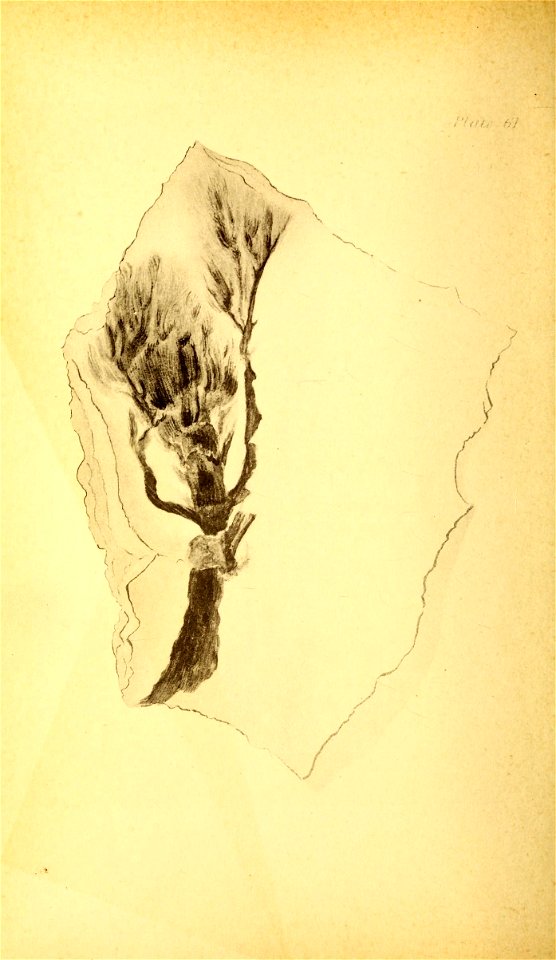 n253_w1150