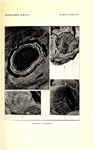 n280_w1150
