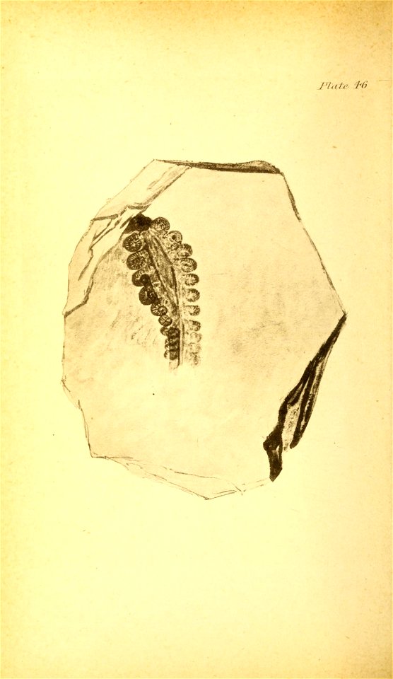 n197_w1150