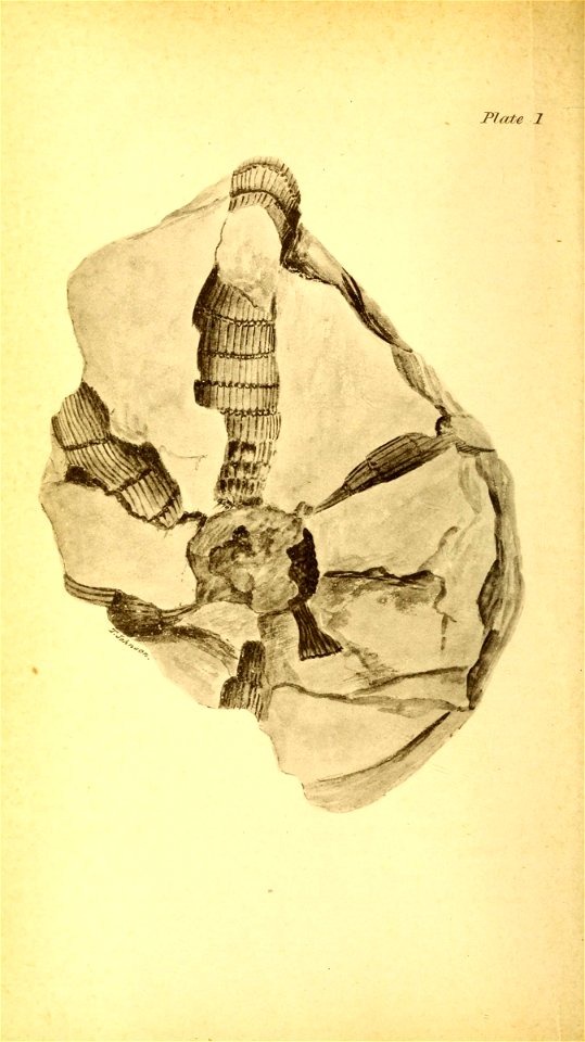 n17_w1150