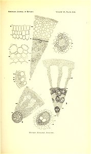 n162_w1150