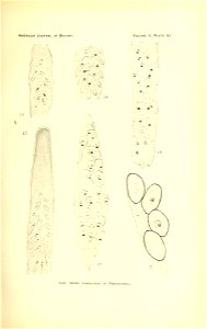 n116_w1150