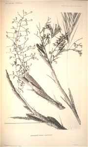 n108_w1150
