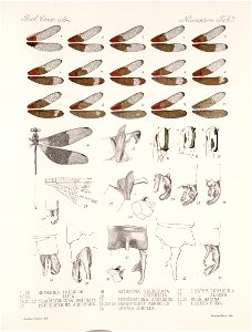 n455_w1150