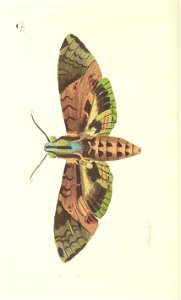 n93_w1150