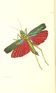 n51_w1150