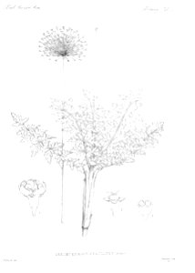 n39_w1150