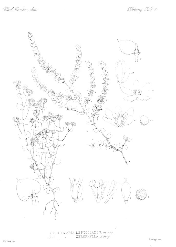 n9_w1150