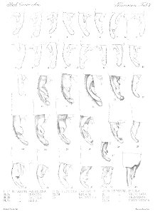 n453_w1150