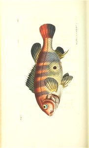 n229_w1150