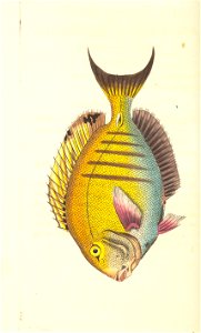 n135_w1150