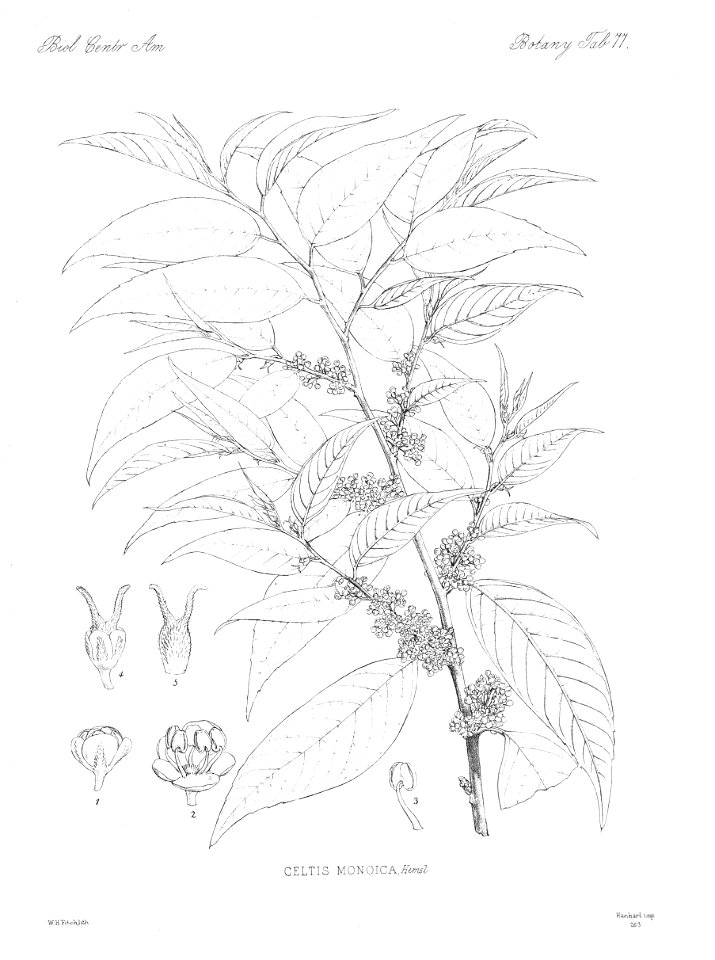 n84_w1150