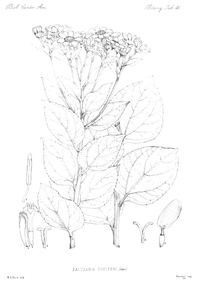 n53_w1150