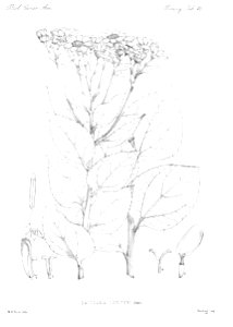 n53_w1150