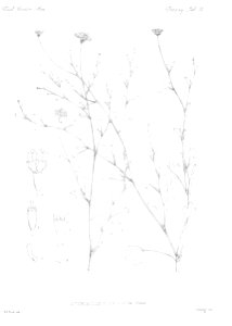 n38_w1150