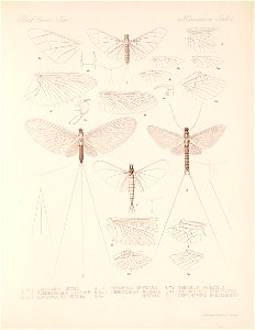 n451_w1150