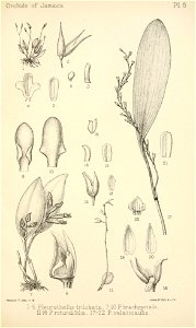 n206_w1150