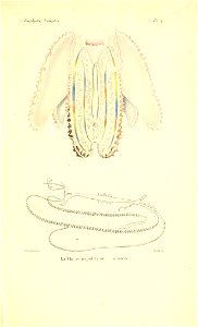 n616_w1150