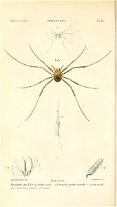 n163_w1150