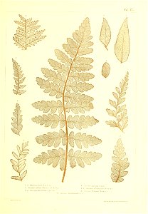 n496_w1150